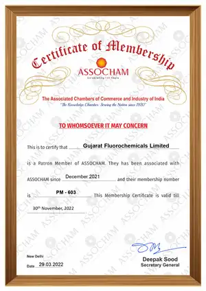 Certificate of membership - Assochem